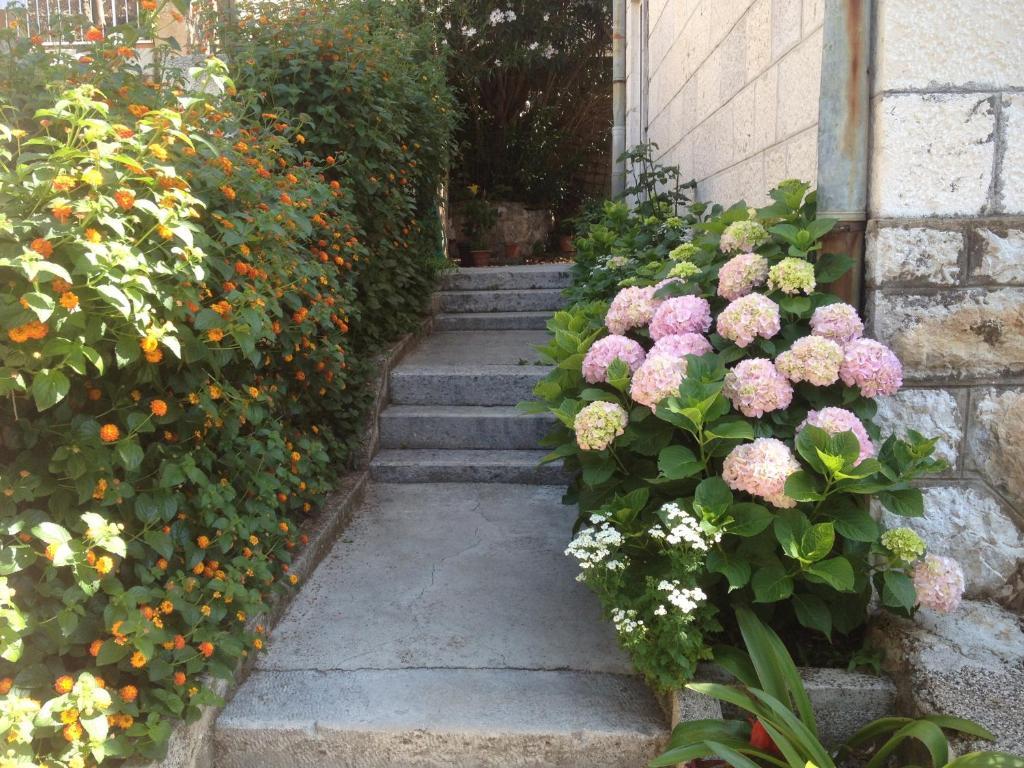 Flora Apartmán