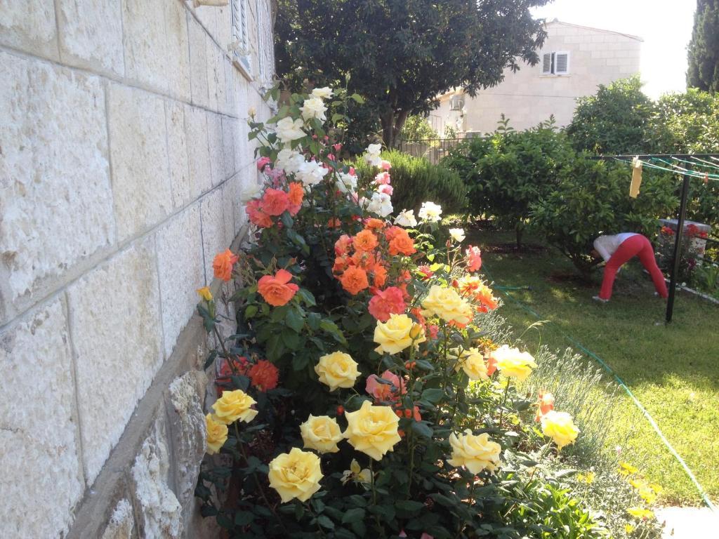 Flora Apartmán Dubrovnik
