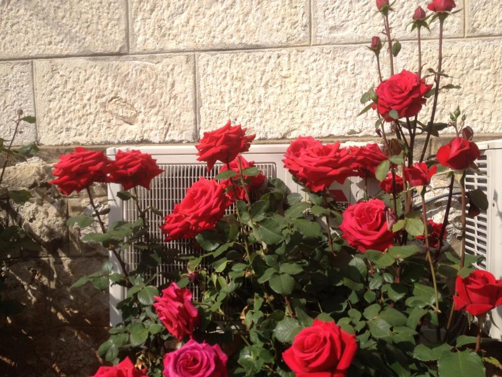Apartmán Flora *